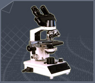 Binocular Microscopes