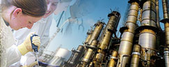 turnkey projects, provides turnkey projects